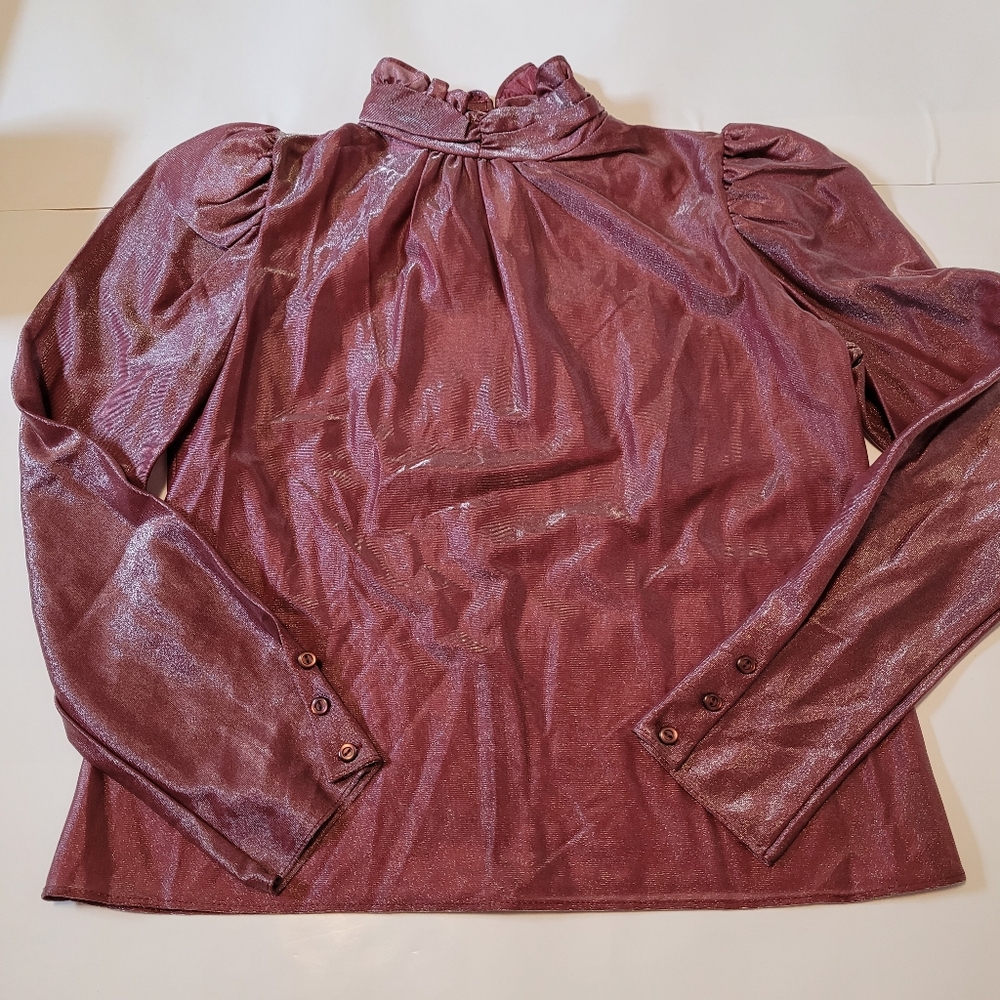 Vintage Pink shimmer sheer blouse